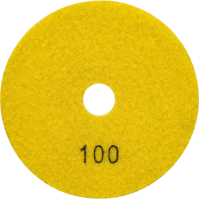 Thor Tools 5" (120mm) Polishing Resin Pads